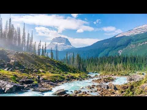 KEVIN BUILDS A GAME WITH @PixelShimmerFX