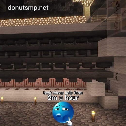 Best Cheap Farm on Donut SMP #minecraft #donutsmp #farm #smp ll dropping schematic at 5 subscribers