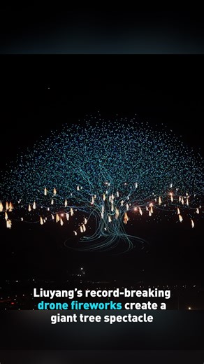 In China’s fireworks capital, the Liuyang Fireworks Festival set two new Guinness World Records by combining drones and fireworks in a stunning night show. Nearly 16,000 drones illuminated the sky, forming a towering tree and a giant flower over the city. A fleet carrying 7,496 fireworks set the record for the most drones launching fireworks simultaneously. Another record was achieved for the most UAVs airborne and controlled by a single computer, with a total of 15,947 drones taking to the sky.