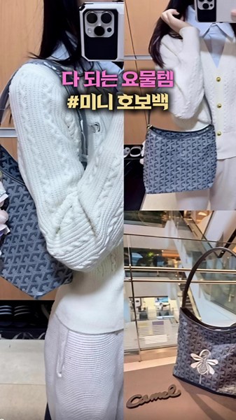 고야드 미니 호보백 리뷰: 오오티디 완벽 아이템