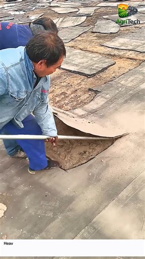 Massive Asphalt Sheet Removal Done With Pure Force