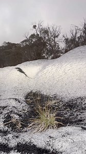 1.6M views · 11K reactions | Guyra ☃️❄️☃️ The first of the snow showers on the Northern Tablelands NSW. More to come!☃️ Guyra to Ben Lomond NSW! Royal Hotel Guyra Guyra Country Fresh Hot Bread Shop | SE Qld Weather Photography -Chris McFerran | Facebook