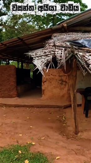 වසන්ත අයීයාගේ සුන්දර වාඩිය 🐘| #foryouシ | Travel With Sidney