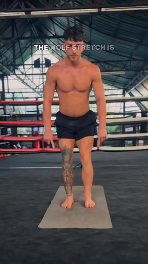 Wolves have been man’s companion for centuries and this stretch should also be. It’s the shit 🔥 | Move with Lewis