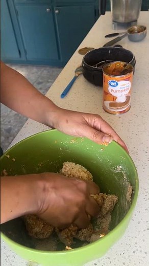 Easy Homemade Dog Treats | Pumpkin Oat Recipe
