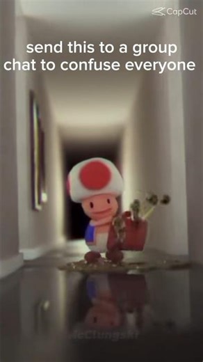 Today Toad has Crashed out! #Toad #Meme