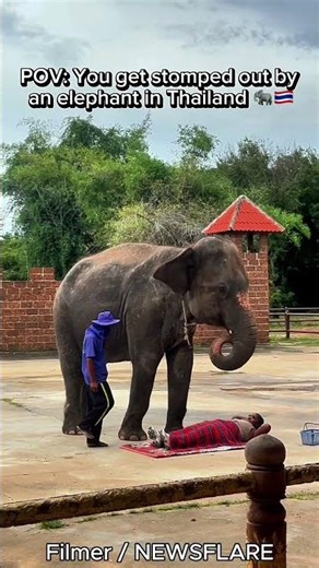Thailand’s Most Extreme Spa Treatment: Lennasia’s Elephant "Massage"
