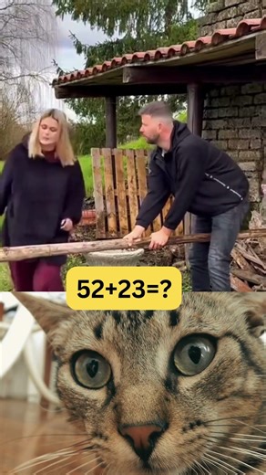 Funny Human Fails | Funny Fails #shorts