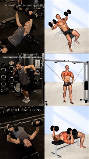 3 Exercises for a Bigger Chest | Chest Workout #chestworkout #chestday #gym