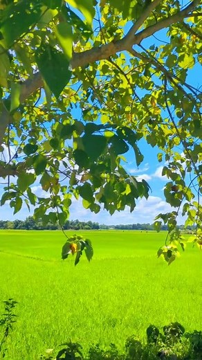 13K views · 680 reactions | 鹿 . . . . . . . . . . . . . . ....