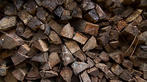 It's getting cold. These are the best (and worst) types of wood to burn in your fireplace