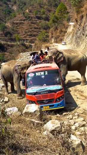 🐘 Elephant Pushes Bus Off Cliff | Viral AI #shortviral