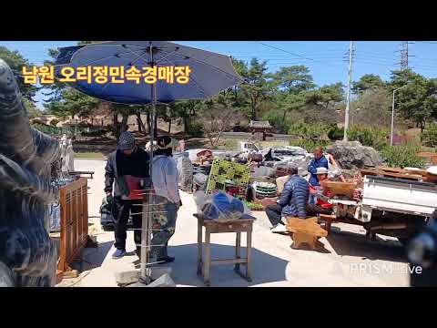 [🔴LIVE 생방송] 남원 오리정민속경매장 [Tel : 010-3740-4032] 매주 목,일(木,日) 12시부터 경매 (2026.04.16)