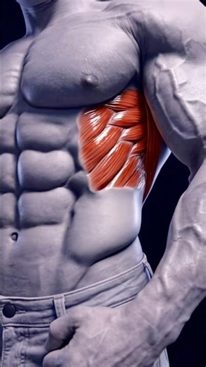 Day #64 Struggling to build abs? You might be ignoring your obliques.🔥