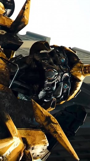 I am bumblebee on TikTok