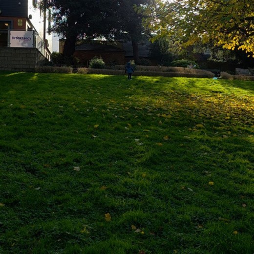 Monet Tree Care Ltd on Reels