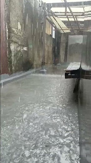 ​Relaxing Rain ASMR | Pure Nature Sounds 🌧️ #rain #rainsounds #deepsleep