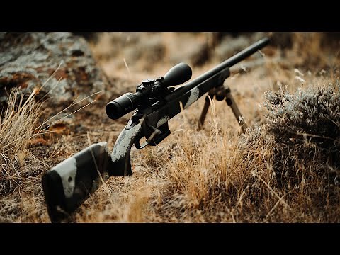 Hunting With The Springfield Armory Model 2020 Waypoint Rifle