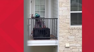 Woman caught on camera repeatedly hitting puppy in SA, faces animal cruelty charge