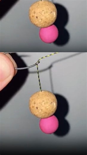 Carp Rig Perfection in Action