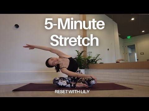 5-Minute Stretch with @ResetWithLily