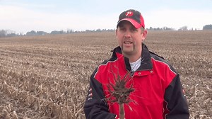 Corn School: Turning Agronomic Insight Into Yield Results