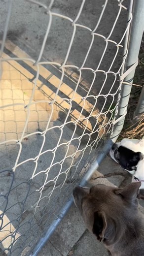 JACK IS WALKING!!!! Thank you so much to everyone for all the love and support! It means the world to us!!! ❤️❤️❤️ | Jack Gilbert