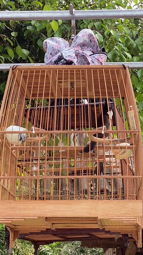 Huy Lucky1 trên TikTok