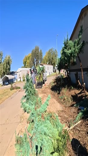 Neighbors Shocked They Didn't Recognize The House After We Did This | Daily TKlawns