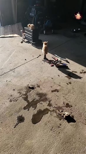 The Mythic witch on Instagram: "Mythic reel . Mr. Bean is a fictional comedy character created and portrayed by Rowan Atkinson. He first appeared on television in 1990 and became famous worldwide for his silent, physical comedy. Mr. Bean is known for his childlike behavior, awkward situations, and humorous problem-solving, often with very little dialogue. The character has appeared in TV shows, movies, and animated series, making Mr. Bean one of the most iconic comedy characters in history."