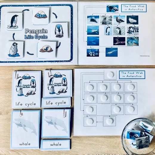 Animals of Antarctica: A Montessori Continent Study for Preschool