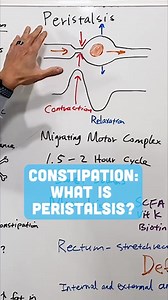 Ever wonder how your body moves food through your digestive system? It's all thanks to peristalsis—an involuntary contraction that keeps everything flowing smoothly!  It helps break down nutrients and keeps microbes in check. Learn more about this amazing process! #GutHealth #DigestiveSystem | Hope Integrative Wellness Center | Facebook