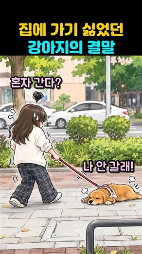 산책 더 하고 싶어서 버티던 강아지의 최후
