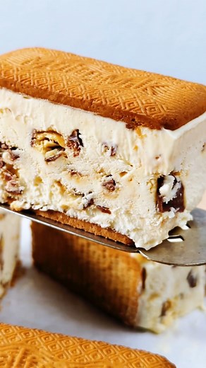 These frozen condensed milk biscuit bars have all our favourite ingredients: malt biscuits, Crunchie bars, chocolate and of course, condensed milk! | Taste.com.au