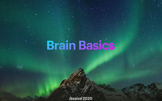 Brain Bee - pt1 Division of Brain