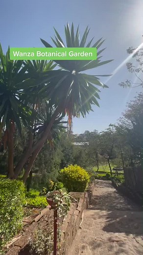 Botanical Garden in the heart of Addis Ababa📍💚 #nature #photography #naturephotography #travel #love #photooftheday #landscape #fyp #foryourpage