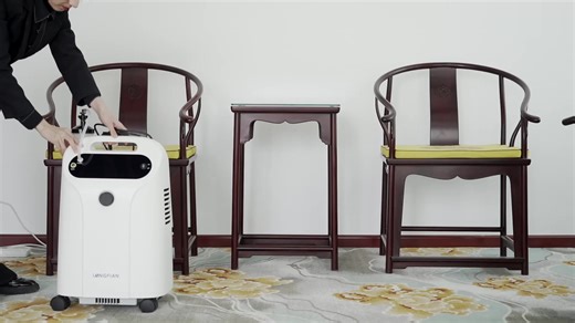 The Newest Health Equipment Physical Concentrator Oxygen Machine Oxygen Maker Machine 02 Concentrator