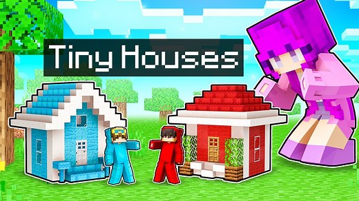 Today, Nico and Cash go head to head in a Minecraft building competition to see who can build the best TINY House! Whose house will be MORE Secure with more riches, Nico or Cash? Watch to find out! #Minecraft #MinecraftMod #Nico #NicoAndCash | Nico