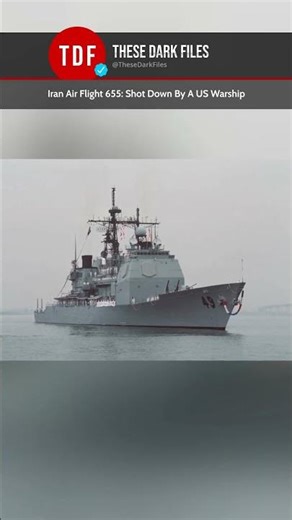 Iran Air Flight 655: Shot Down By A US Warship