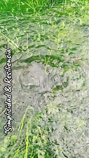 "La naturaleza nos recuerda la belleza de la simplicidad y la fuerza d...