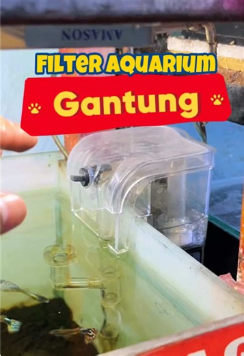 Best Recommendations for Aquarium Hanging Filters