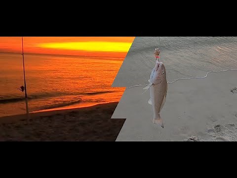 Panama City Beach Surf Fishing