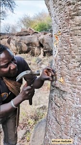Survival skills or an ancient tradition? Watch till the end! 🪵💡 #shorts #wildlife
