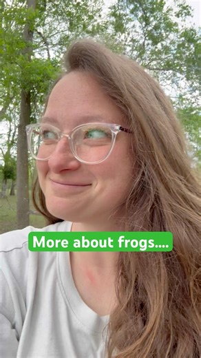 howe-artworks.com #originalartwork #handpainted #frogcore #artist #whimsical #frog #art #paintwithme