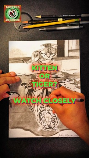 Dibujo de gato con reflejo de tigre: Arte en Proceso