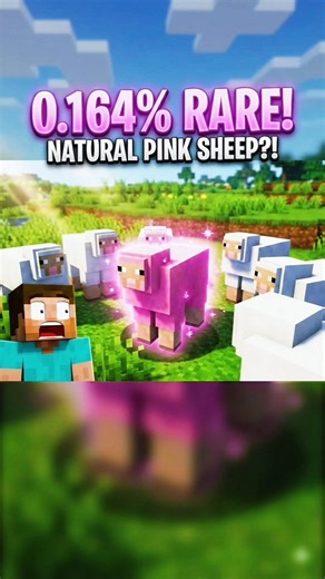 0.164% Rare Naturally pink sheep?! #minecraft #minecraftshorts #hellosmaty87