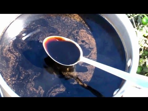 DIY Black Walnut Dye
