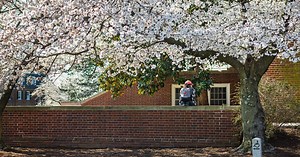 Teaching resources