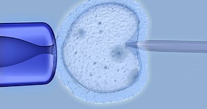 Three clinics halt IVF treatment because embryos are now considered "children" in the state - LGBTQ Nation