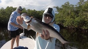 8.3K views · 93 reactions | This was such a fun trip! We caught dozens of snook and tarpon and had non-stop action. Check out the video to see how we did, and how you can, too. And if you want a FREE pack of Slam Shady paddletails (the same ones we were using in this video), click here: https://www.saltstrong.com/slamshady-og/ | Salt Strong | Facebook